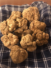 matesetartufi