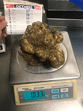 matesetartufi