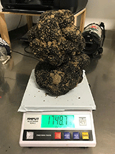 matesetartufi