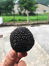 matesetartufi